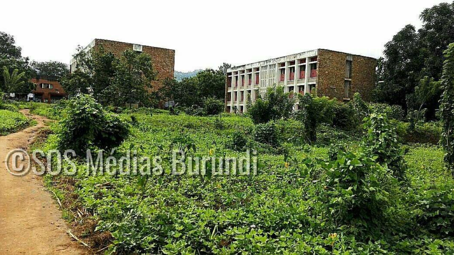 ÉLECTIONS 2020 : une contribution de 1 000 FBu exigée à chaque étudiant de l&rsquo;Université du Burundi