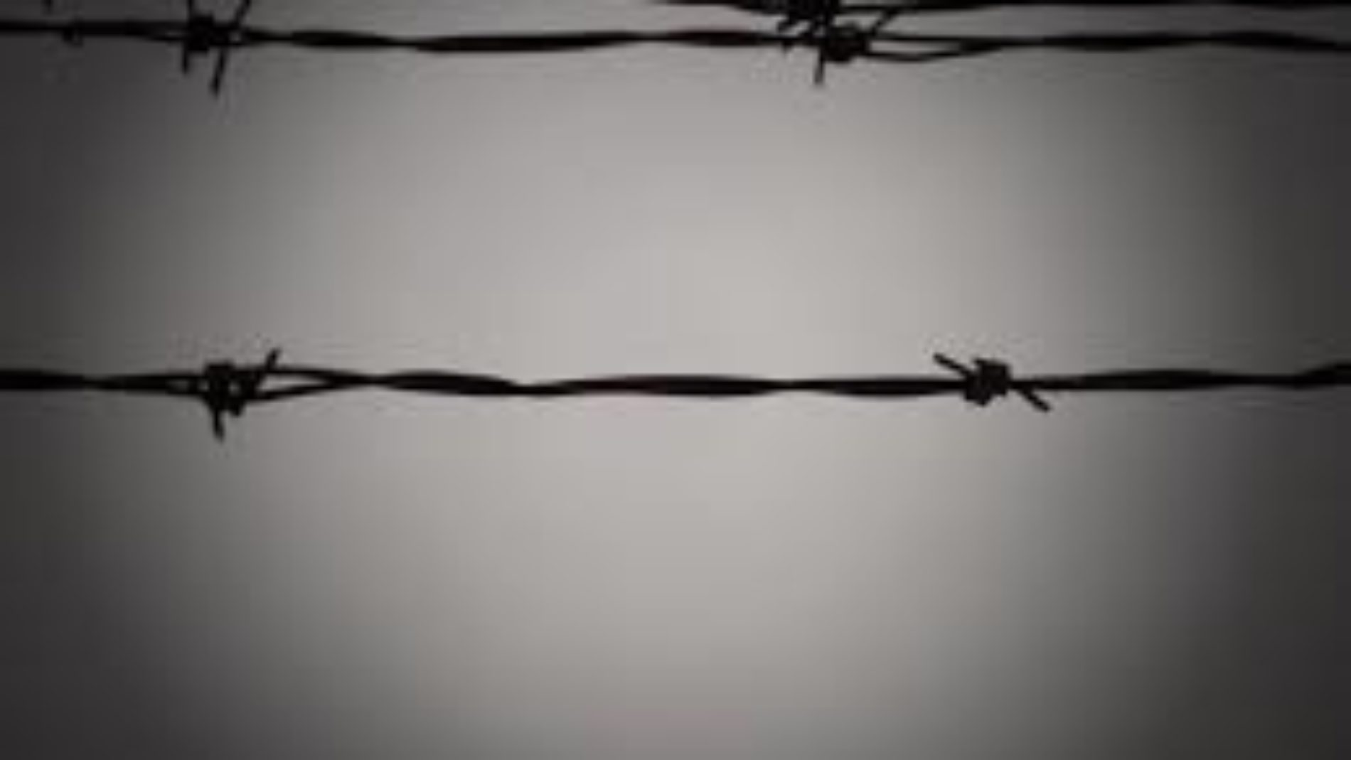 Uvira (RDC) : quatre adeptes de la prophétesse Zebiya purgeant une peine de 10 ans à la prison d&rsquo;Uvira comptent interjeter appel