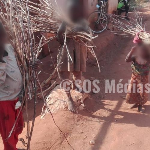 MAKAMBA : Trouver le bois de chauffage devient un casse-tête pour des habitants