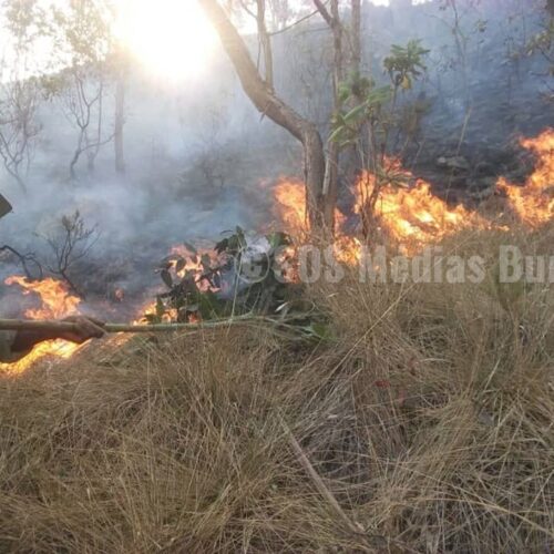 Bururi : Plus de 90 ha de la Kibira partis en fumée au cours de cette saison