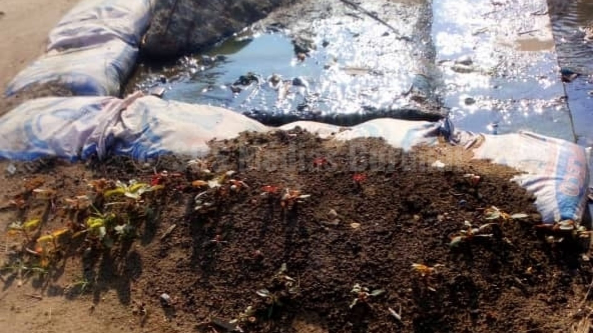 Ngagara-Bujumbura: des eaux mélangées aux excréments humains devant une clinique inquiètent