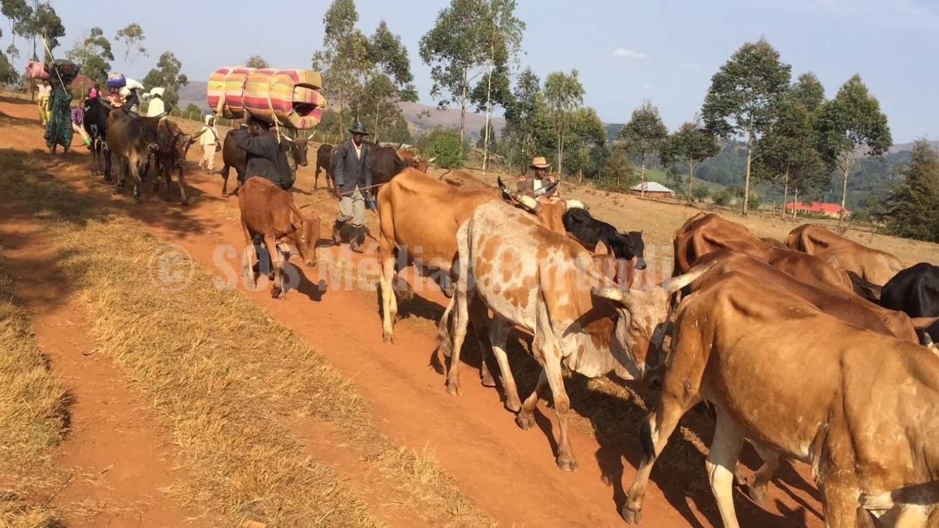 Des combats à l’est de la RDC inquiètent les bergers burundais