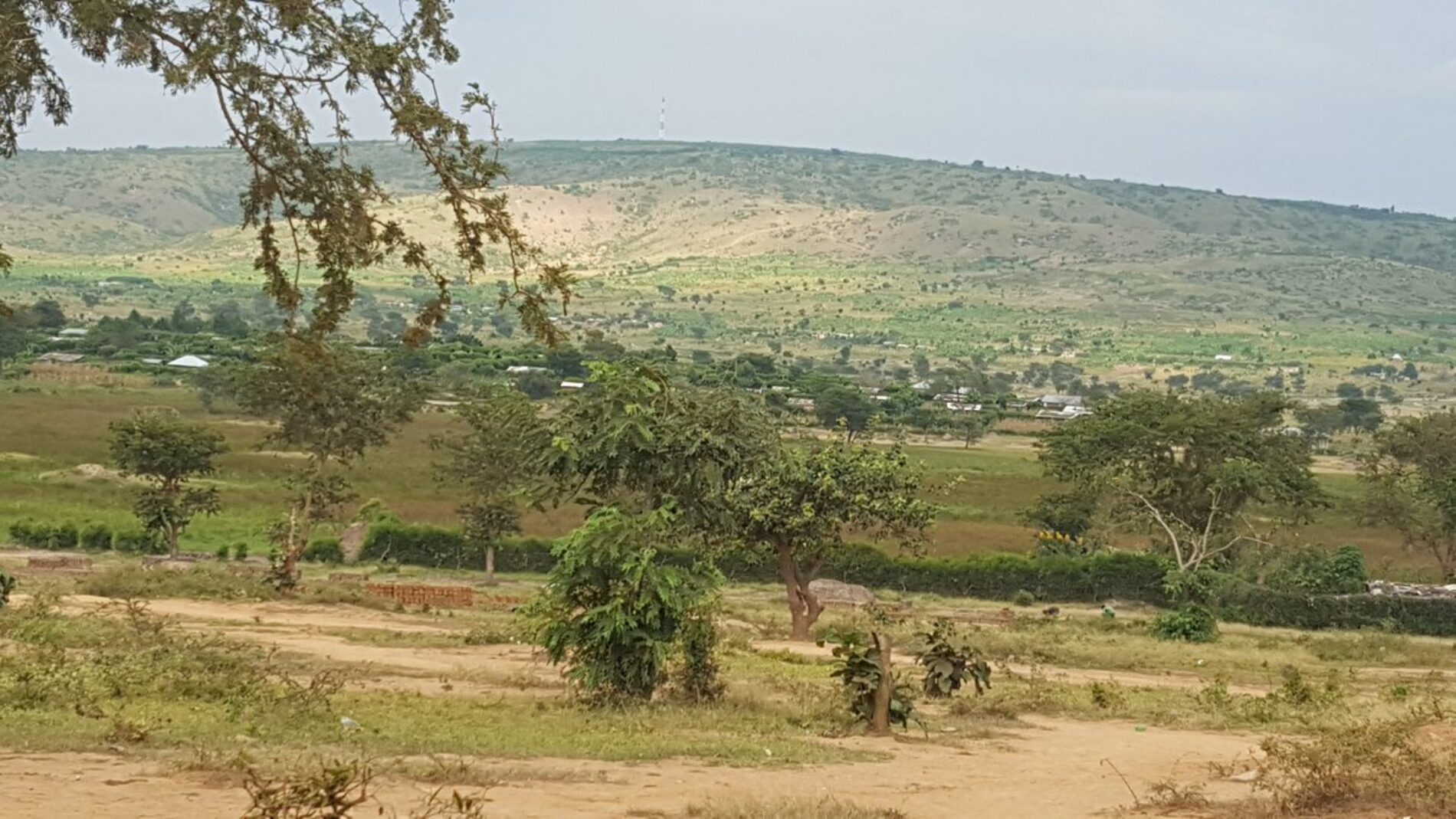 Ouganda : vers la réduction de la ration alimentaire des réfugiés
