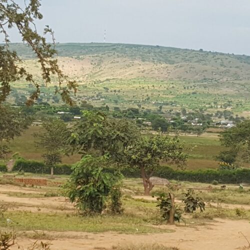 Ouganda : vers la réduction de la ration alimentaire des réfugiés
