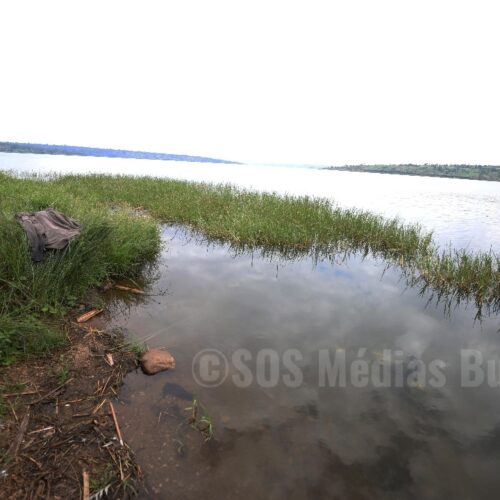 Kirundo : Le lac aux oiseaux  pollué