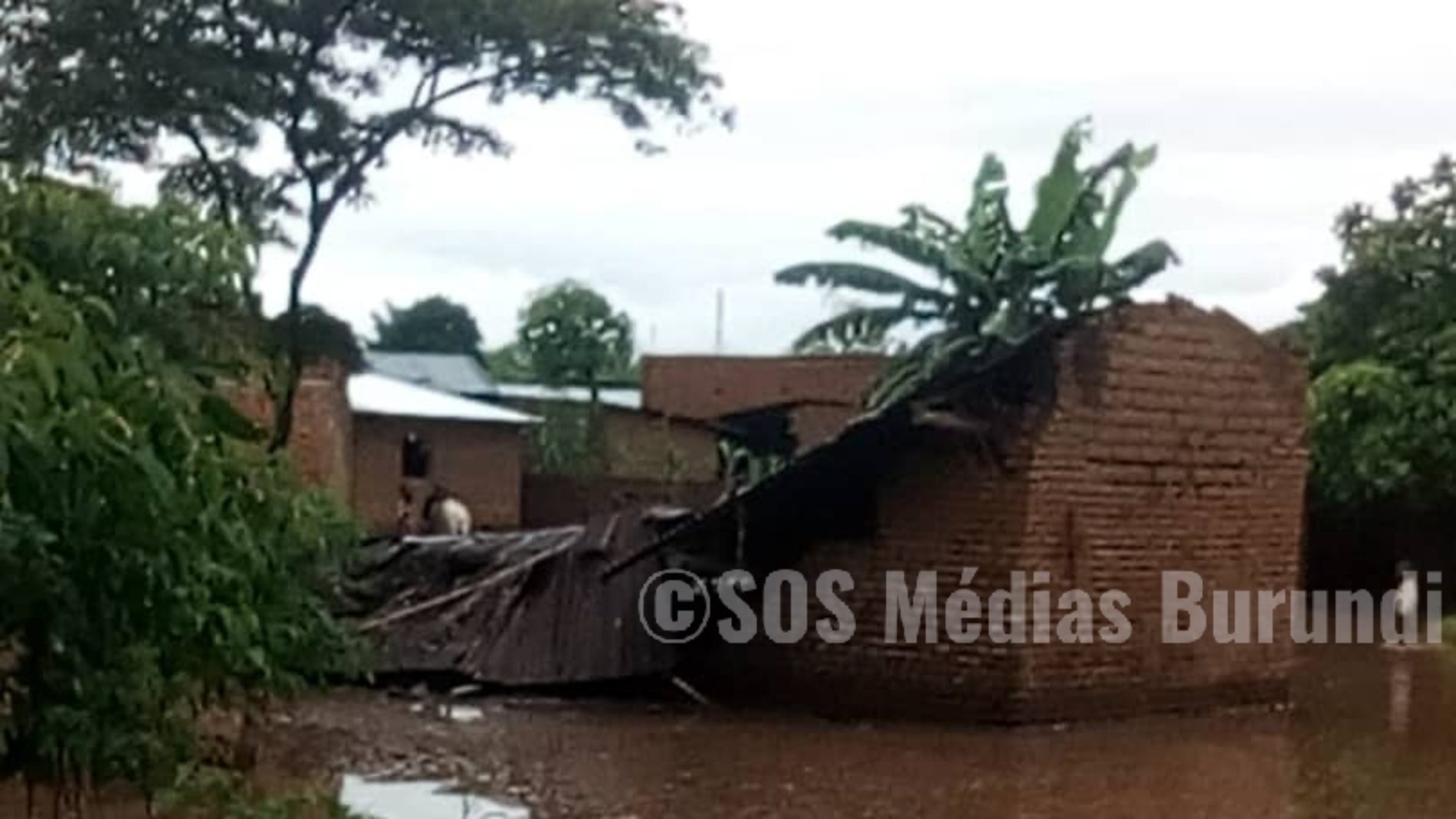Des pluies torrentielles détruisent plus de 200 maisons à Itara-Luvungi( Sud-Kivu)