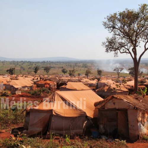 Nduta (Tanzanie) : près de 300 jeunes reconvertis