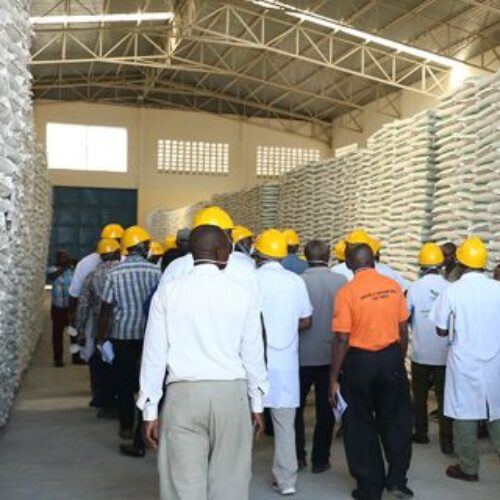 Ngozi : plusieurs défis dans le programme de subvention des engrais