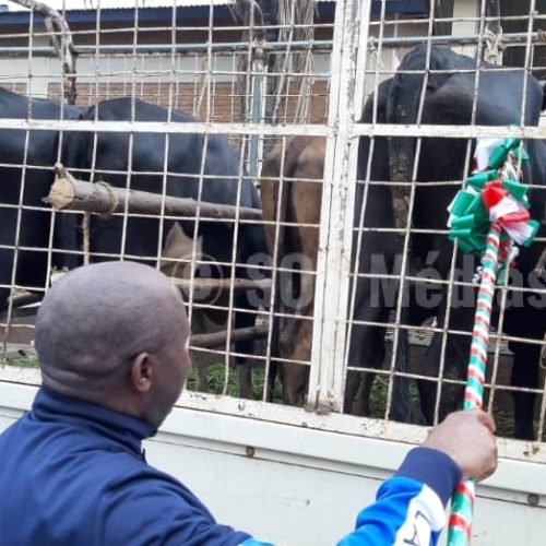 Photo de la semaine : le candidat présidentiel du CNDD-FDD a reçu des dons à Rumonge