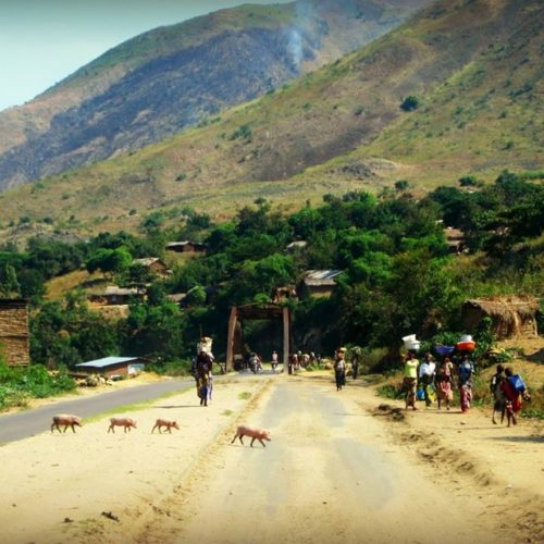 Un soldat congolais tué par des hommes armés en provenance du Burundi a Kiliba