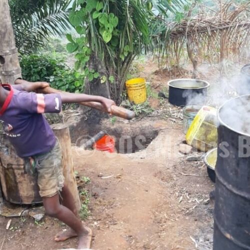 Photo de la semaine : des enfants qui pourvoient aux besoins des familles