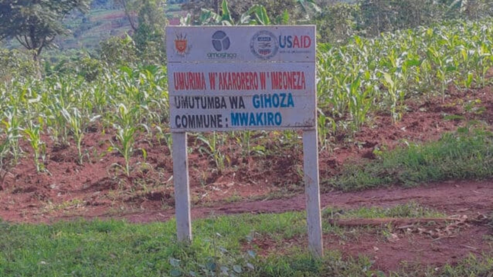 Mwakiro: un chef de zone arrêté pour tentative de meurtre