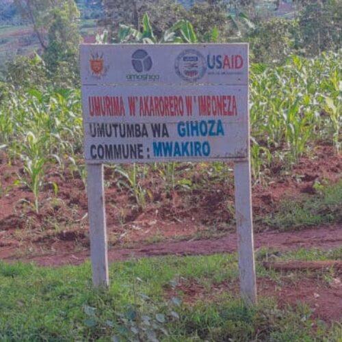Mwakiro: un chef de zone arrêté pour tentative de meurtre