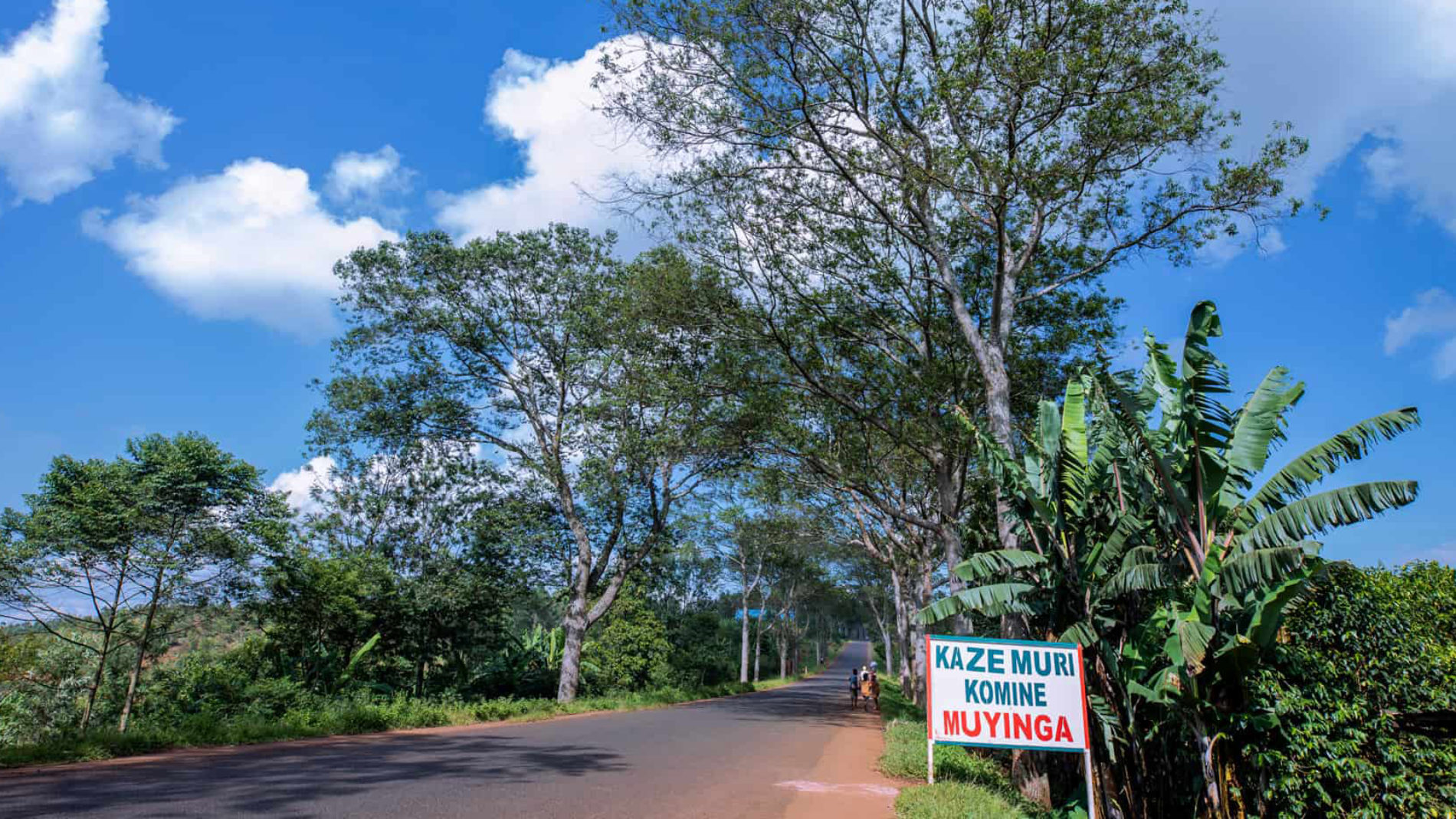 Muyinga: traque d&rsquo;un réseau d&rsquo;exportateurs illégaux