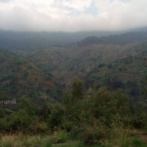Bubanza: des habitants des collines proches de la Kibira craignent d’être attaqués