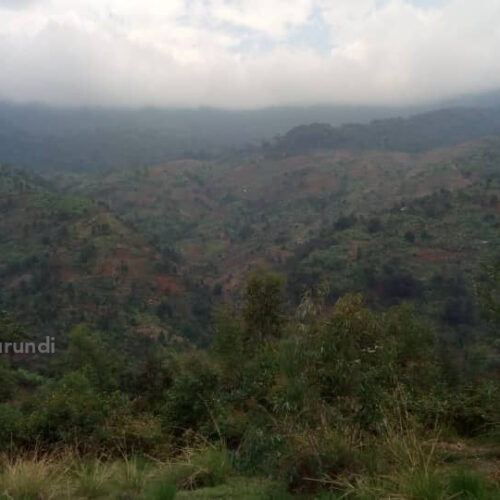 Bubanza: des habitants des collines proches de la Kibira craignent d&rsquo;être attaqués
