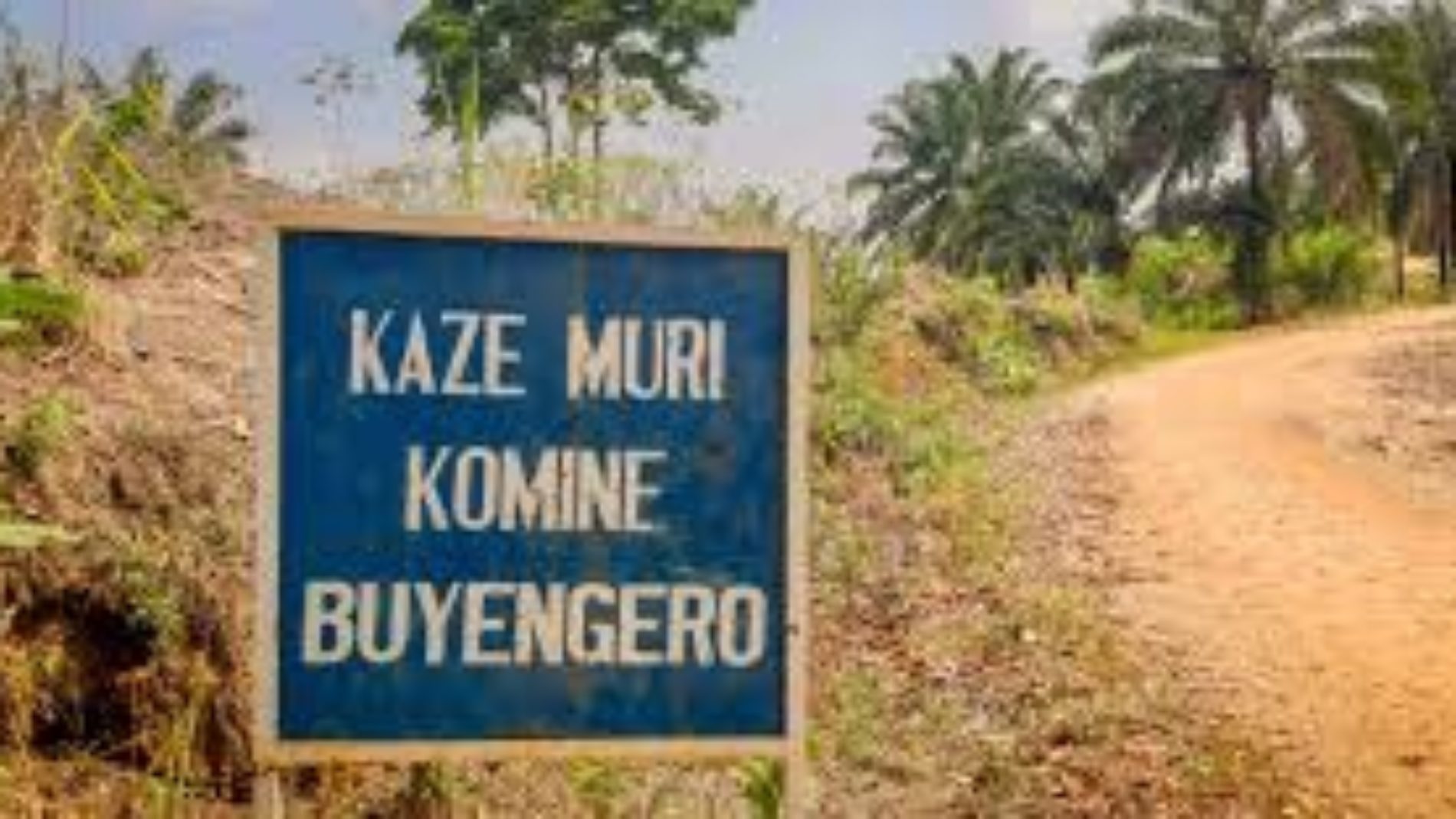 Buyengero: des vaches appartenant à un retraité ex FAB empoisonnées
