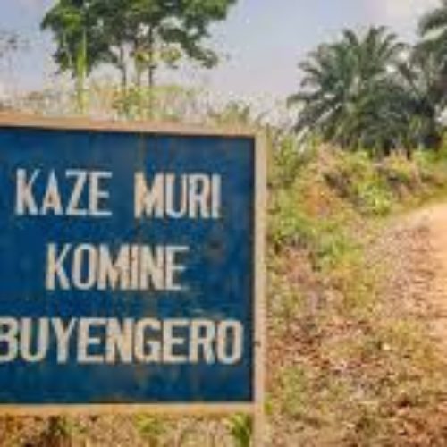 Buyengero: des vaches appartenant à un retraité ex FAB empoisonnées