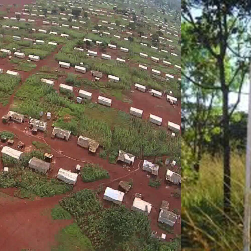 Nyarugusu (Tanzanie): la police impose un couvre feu, des réfugiés y voient une énième façon de les persécuter