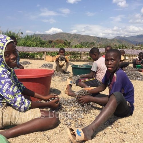 RDC (Lusenda) : les enseignants en grève pour réclamer leur salaire