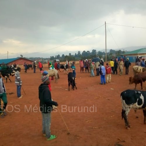 Kayanza : manque de latrines au marché de Gatwaro