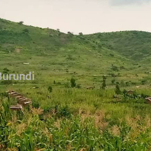 Mulongwe (RDC) : une petite réfugiée tuée