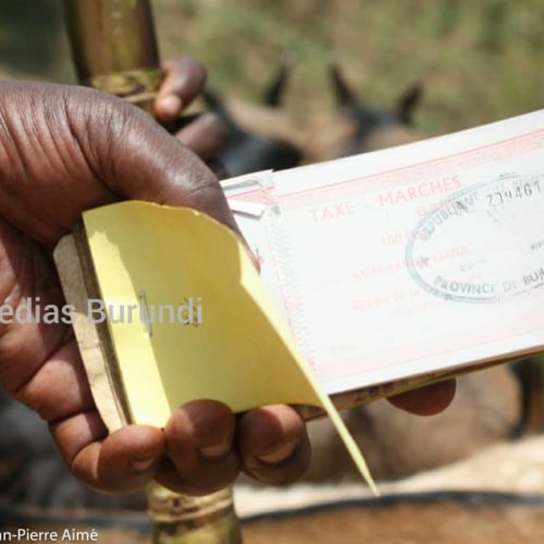 Muyinga : les taxes communales s&rsquo;améliorent, des Imbonerakure jurent saboter le travail des nouveaux percepteurs