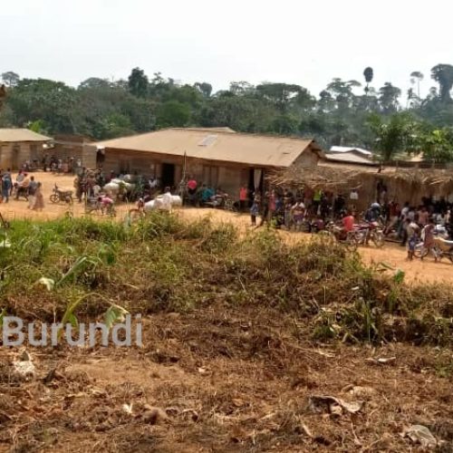 Ituri (RDC) : une dizaine de morts dans une attaque armée