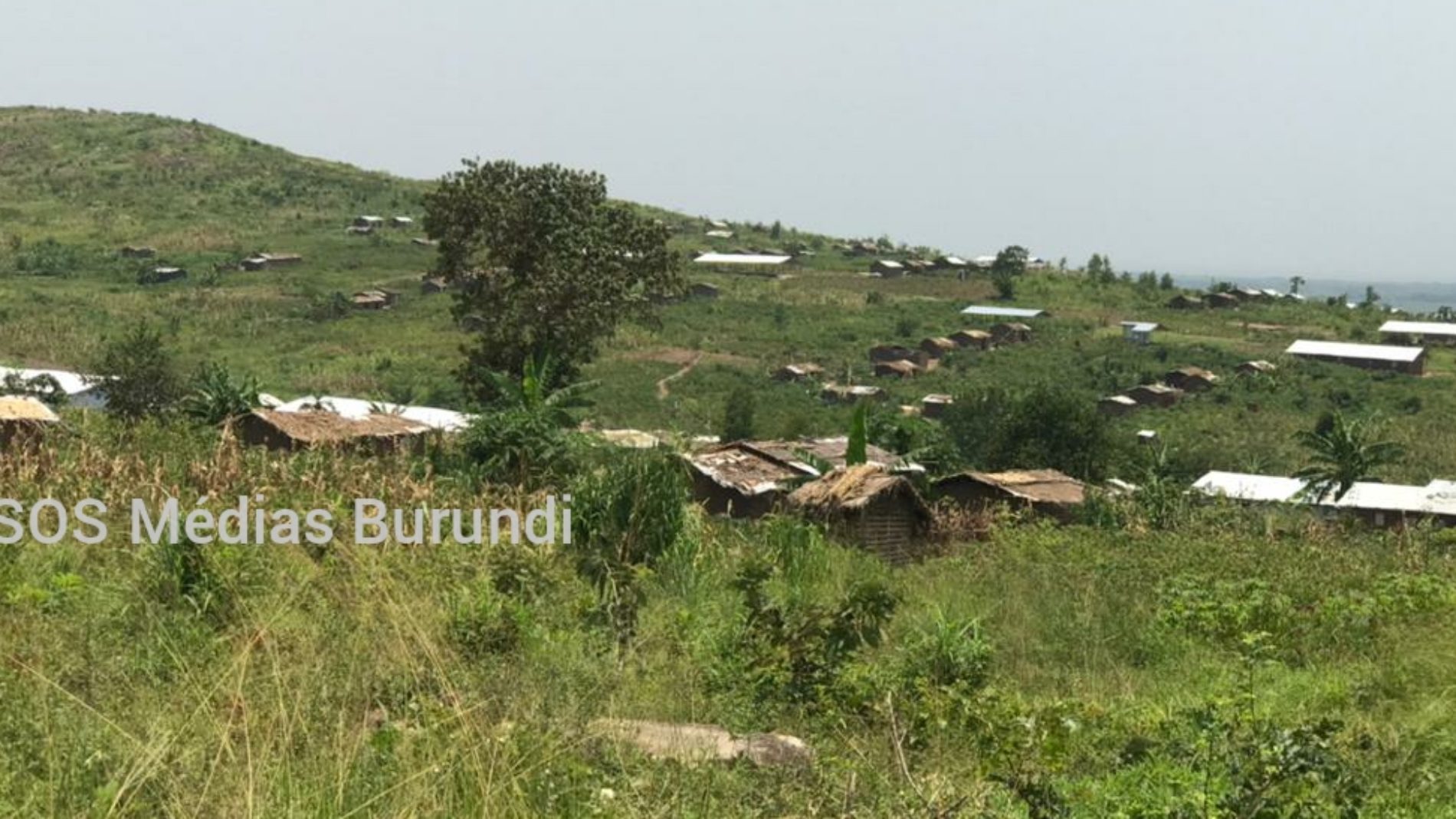 Mulongwe : des réfugiés burundais vivent dans des maisons de fortune