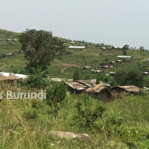 Mulongwe : des réfugiés burundais vivent dans des maisons de fortune