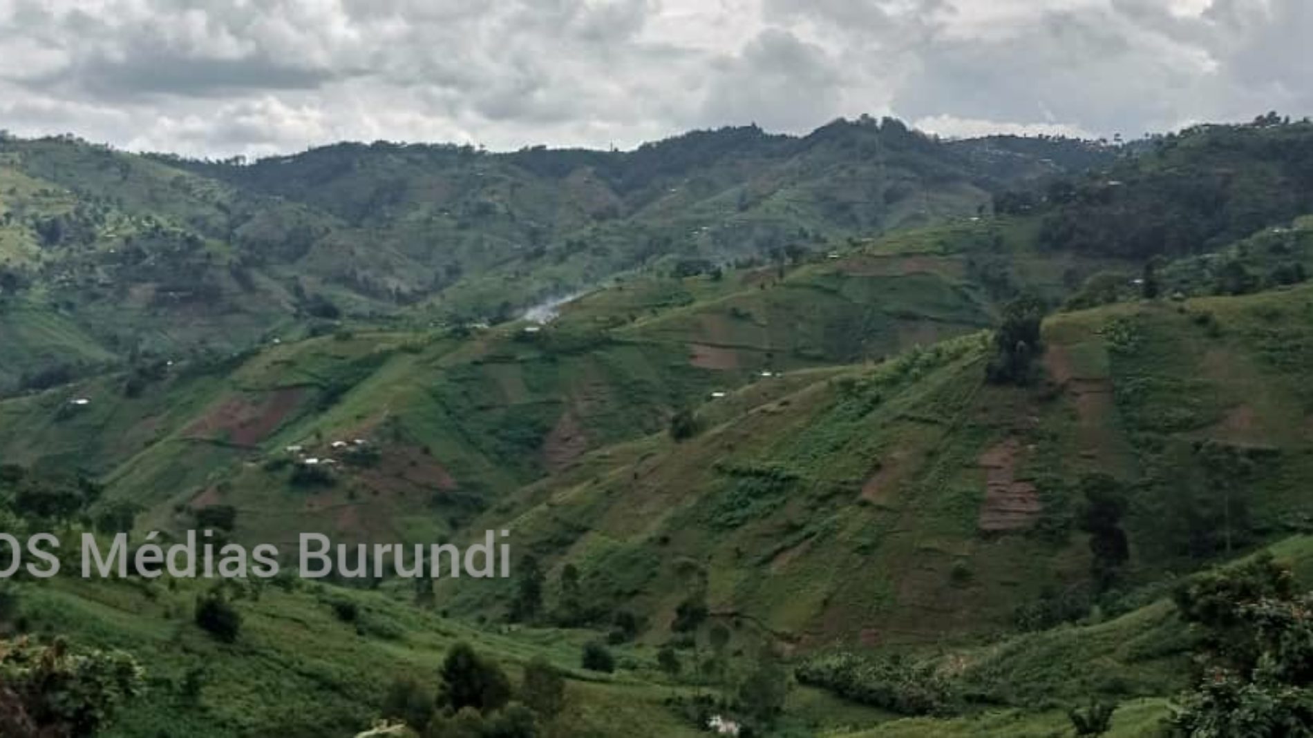 Beni : un grand groupe armé rapporté à Bashu
