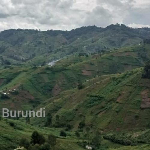Beni : un grand groupe armé rapporté à Bashu