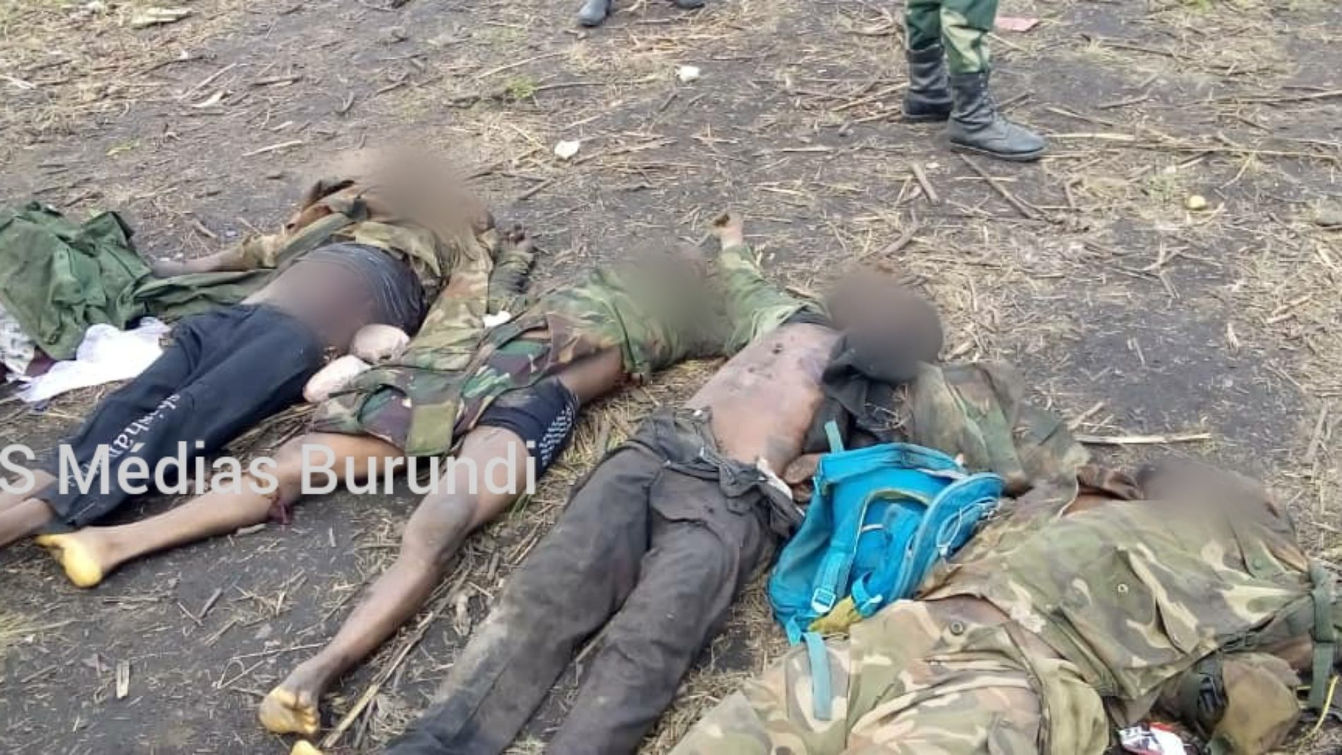 Rwenzori (RDC) : au moins dix rebelles tués