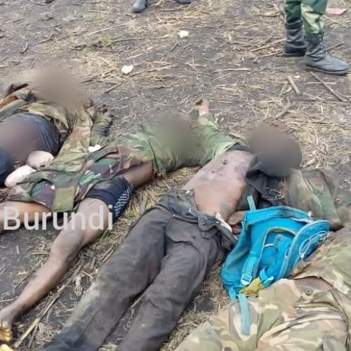 Rwenzori (RDC) : au moins dix rebelles tués