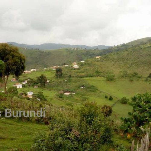 RDC (Lemera) : des combats entre Imbonerakure et les Red Tabara