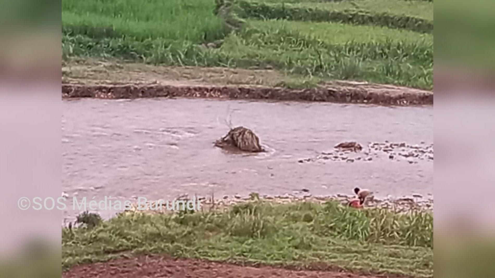 Buganda : découverte macabre