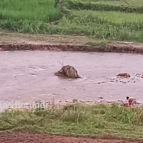 Buganda : découverte macabre