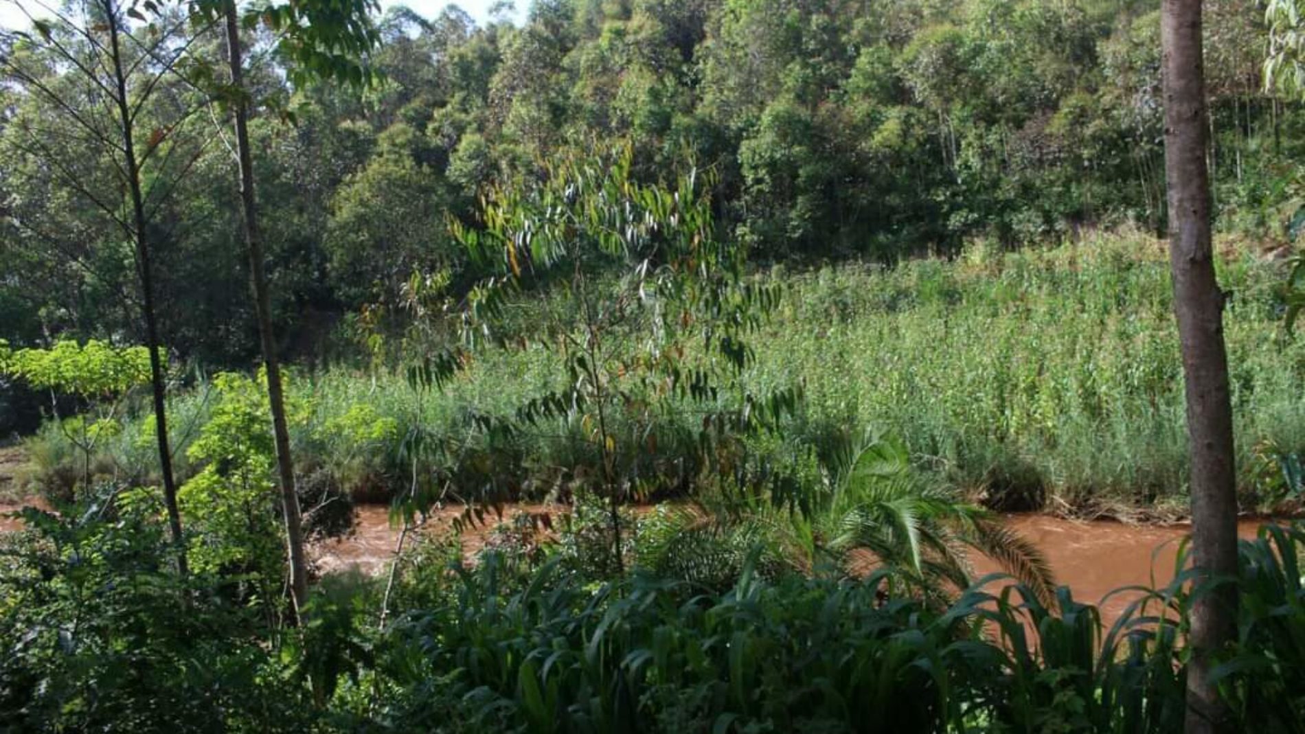 Gitega : découverte d&rsquo;un cadavre d’une jeune fille à Giheta