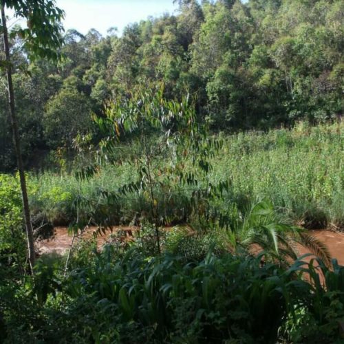 Gitega : découverte d&rsquo;un cadavre d’une jeune fille à Giheta
