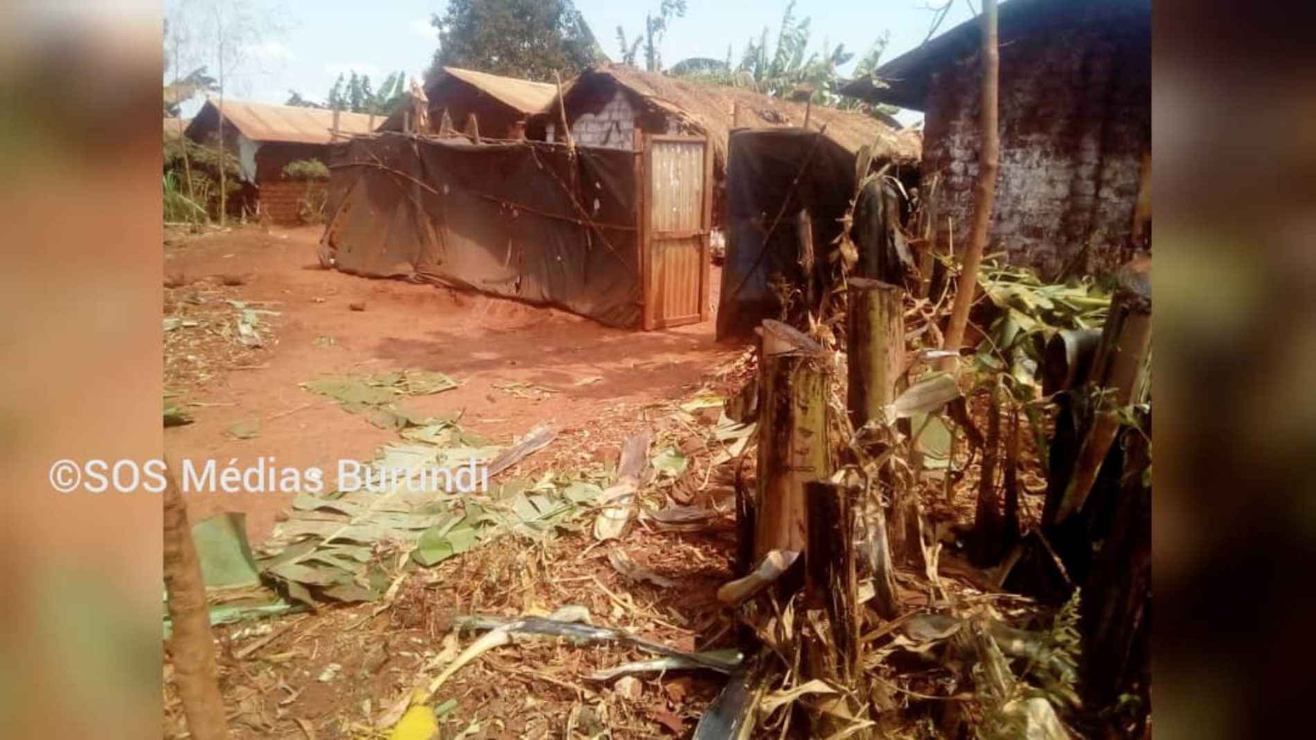 Photo de la semaine-Nyarugusu (Tanzanie) : destruction des champs des rapatriés décriée