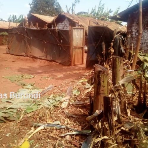 Nyarugusu (Tanzanie) : destruction des champs des rapatriés décriée
