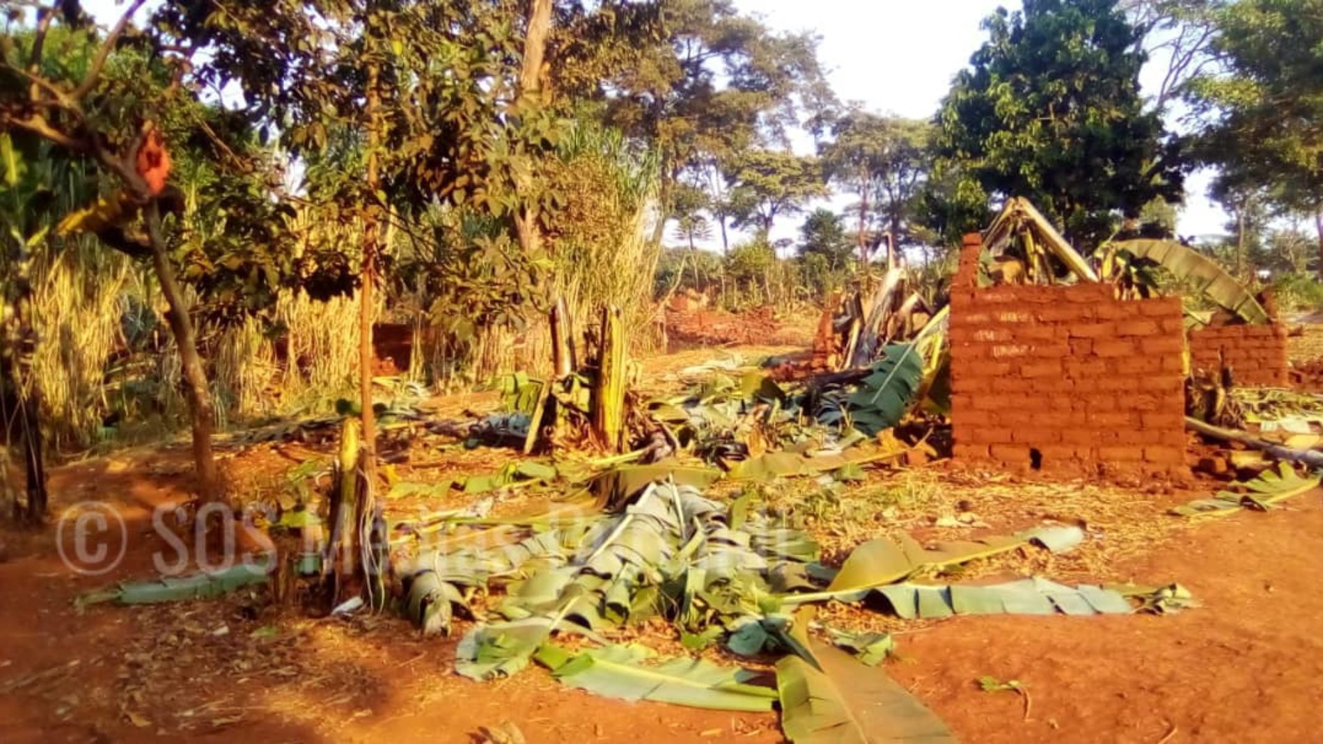 Mtendeli (Tanzanie) : la police supervise la destruction des maisons des réfugiés réinstallés à Nduta