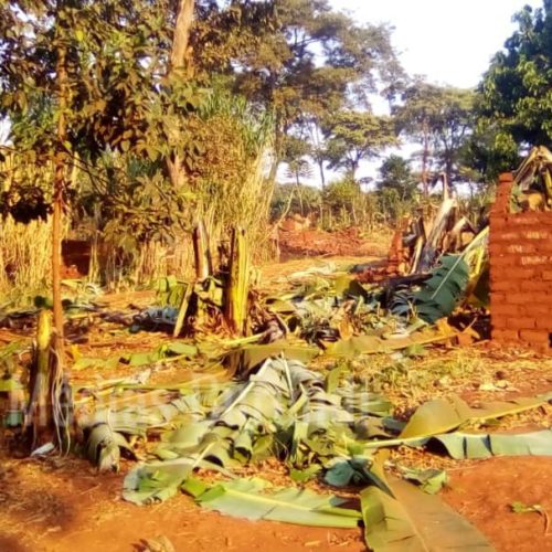 Mtendeli (Tanzanie) : la police supervise la destruction des maisons des réfugiés réinstallés à Nduta