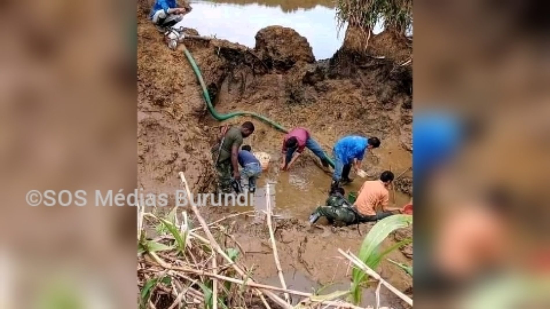 Ituri (RDC) : des notables et leaders de l&rsquo;Ituri dénoncent une destruction de l&rsquo;environnement par des étrangers