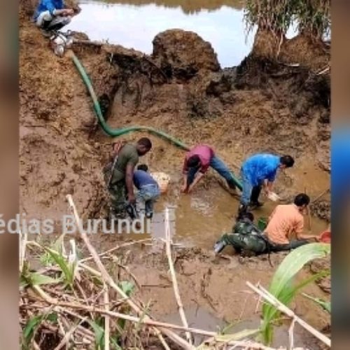 Ituri (RDC) : des notables et leaders de l&rsquo;Ituri dénoncent une destruction de l&rsquo;environnement par des étrangers