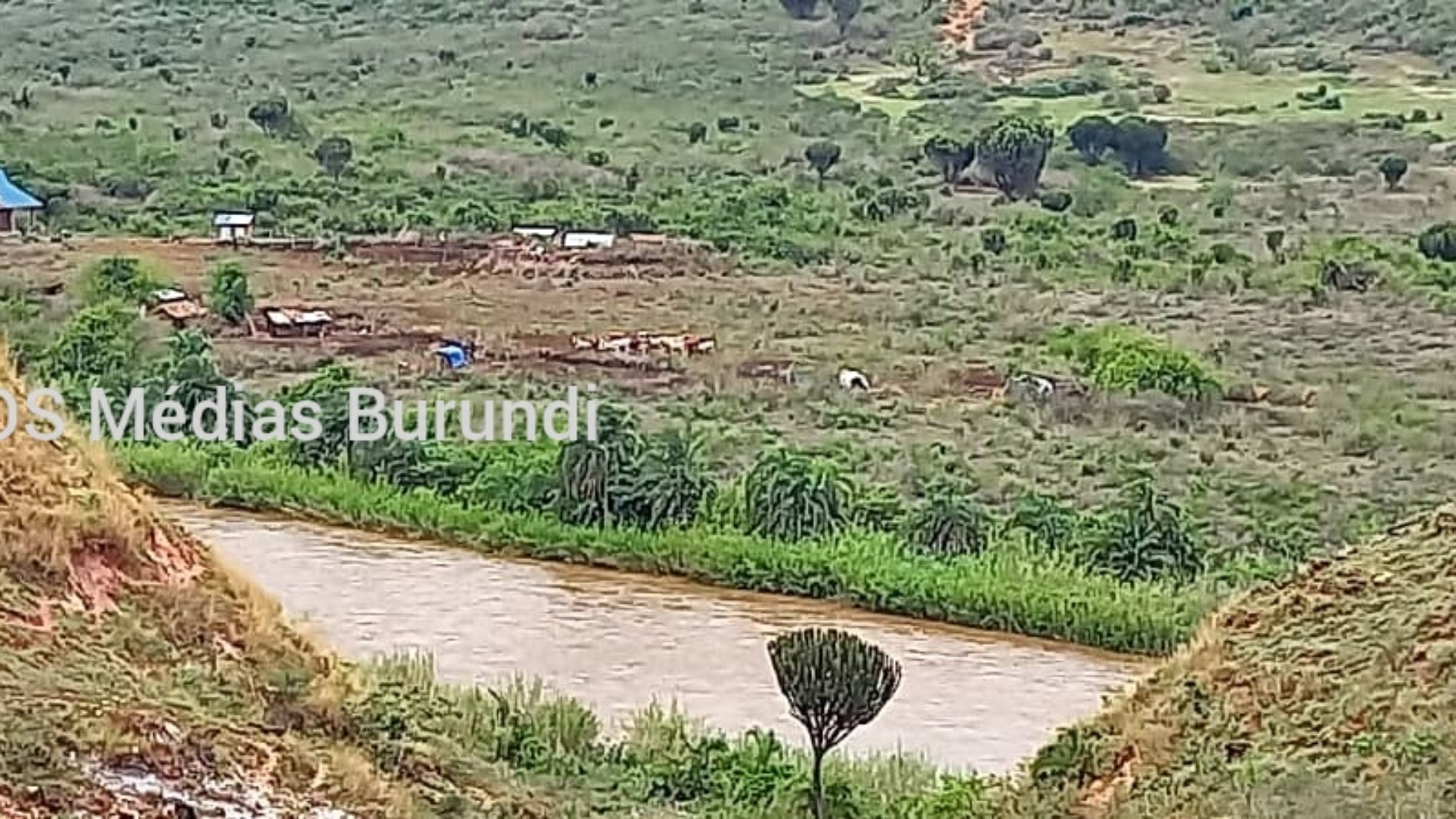 Plaine de la Rusizi : des crépitements d&rsquo;armes à la frontière entre le Burundi et la RDC