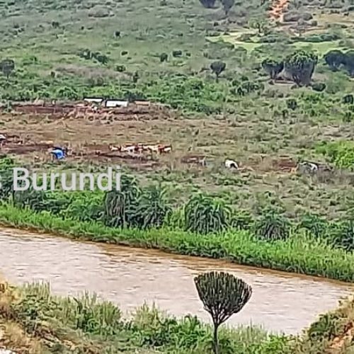 Plaine de la Rusizi : des crépitements d&rsquo;armes à la frontière entre le Burundi et la RDC