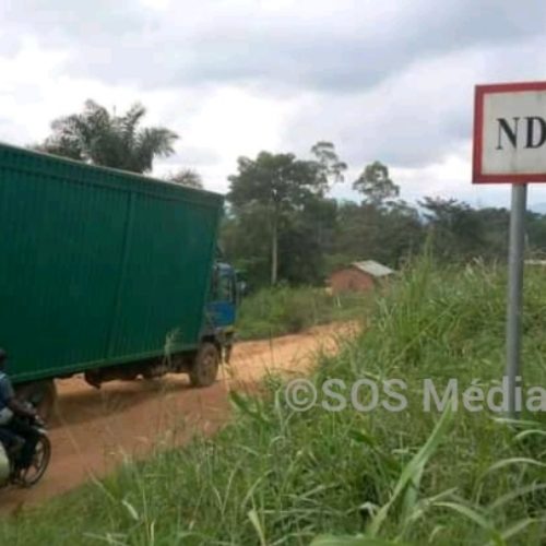 RDC-Ituri : au moins un mort dans une nouvelle incursion des ADF à Irumu