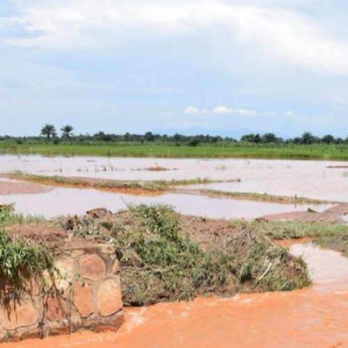 Buterere : un opposant arrêté par des Imbonerakure puis retrouvé mort