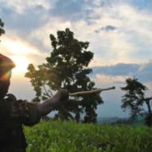 Nord-Kivu (RDC) : l&rsquo;armée congolaise accuse de nouveau Kigali d&rsquo;avoir déployé 500 militaires pour appuyer le M23